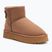Stivali da neve O'Neill Besiana Platform Mid da donna, caldi e color tortora