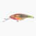 FishTank Charlie pappagallo wobbler