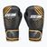 Guantoni da boxe StormCloud Lynx black/gold