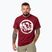Maglietta Pitbull Logo Palms uomo bordeaux