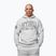 Felpa da uomo Pitbull Badger Hooded grey/melange
