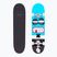 Fish Skateboards Pro Bart 8.0" skateboard classico