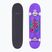 Fish Skateboards principianti Huron 8.0" skateboard classico