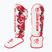 Parastinchi Octagon Legion Flower white/red