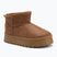 Stivali da neve Lee Cooper da donna LCJ-25-32-3653L tan