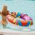 AQUASTIC ruota da nuoto ASR-119B blu