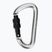 Salewa Carbiner a forma di D con vite grigio