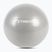 TREXO Gymball TXO-B4Z007-GY 55 cm grigio