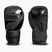 Guantoni da boxe StormCloud Lynx 2.0 black/black