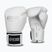 Guantoni da boxe StormCloud Muay Thai Blizzard 2.0 white/silver