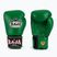 RAJA BOXING Guanti da boxe singoli standard in vera pelle verde
