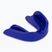 RAJA BOXING RMG protezione mascella blu
