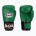 Guantoni da boxe RAJA BOXING Single Semi Leather green