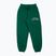 Pantaloni da allenamento MANTO da uomo Verde varsity