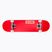 Globe skateboard classico Goodstock rosso