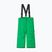Pantaloni da sci Reima per bambini Proxima cat eye verde