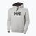 Felpa da uomo con cappuccio Helly Hansen HH Logo grigio/melange
