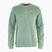 Felpa da uomo Fjällräven 1960 Logo Badge Sweater misty green