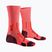 Calze da uomo X-Socks Trailrun Perform Crew fluo red/namib red
