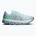 Scarpe da corsa uomo On Cloudflow 5 flurry/wash