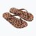 Infradito da donna Ipanema Animal Print beige/bronze/bronze