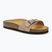 Scholl Estelle Sue infradito da donna beige scuro