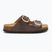 Infradito donna Scholl Noelle Syntetic Reptile marrone