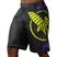 Pantaloncini da allenamento Hayabusa Icon Fight nero/giallo