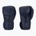 Guanti da boxe Hayabusa T3 LX indaco