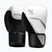 Guantoni da boxe Hayabusa E1 Boxing white/silver