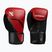 Guantoni da boxe Hayabusa E1 Boxing red/black