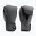 Guantoni da boxe Hayabusa T360 Boxing charcoal
