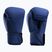 Guantoni da boxe Hayabusa T360 Boxing blue