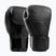 Guantoni da boxe Hayabusa E1 Leather black