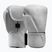 Guantoni da boxe Hayabusa T360 Leather white
