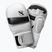 Guanti da grappling Hayabusa T3 Hybrid bianco/nero
