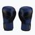 Guanti da boxe Hayabusa S4 blu/nero