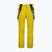 Pantaloni da sci da uomo CMP 3W17397N gold green