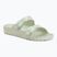 Ciabatte da donna Scholl Primt Flora EVA