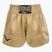 Pantaloncini da allenamento Everlast Muay Thai gold/black