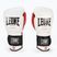 Guanti da boxe LEONE 1947 Il Tecnico N3 bianco