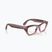 Occhiali con telecamera Ray-Ban Meta Zena milky pink blush/trs grey