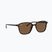 Occhiali da sole Ray-Ban Leonard tortoise/brown polarized