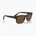 Occhiali da sole Ray-Ban RB4428 havana matte/brown polarized