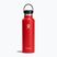 Hydro Flask Standard Flex 620 ml bottiglia da viaggio Goji