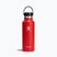 Bottiglia termica Hydro Flask Standard Flex 530 ml Goji