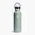 Bottiglia da viaggio Hydro Flask Standard Flex 620 ml agave