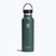 Bottiglia termica Hydro Flask Standard Flex Straw 620 ml abete