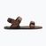 Sandali a piedi nudi da uomo Xero Shoes D-Trail marrone cacao/marrone java