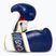 Guantoni da boxe Rival Impulse Sparring navy